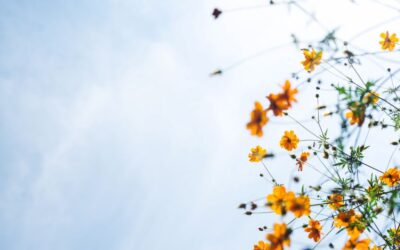 6 steps for focusing when overwhelmed